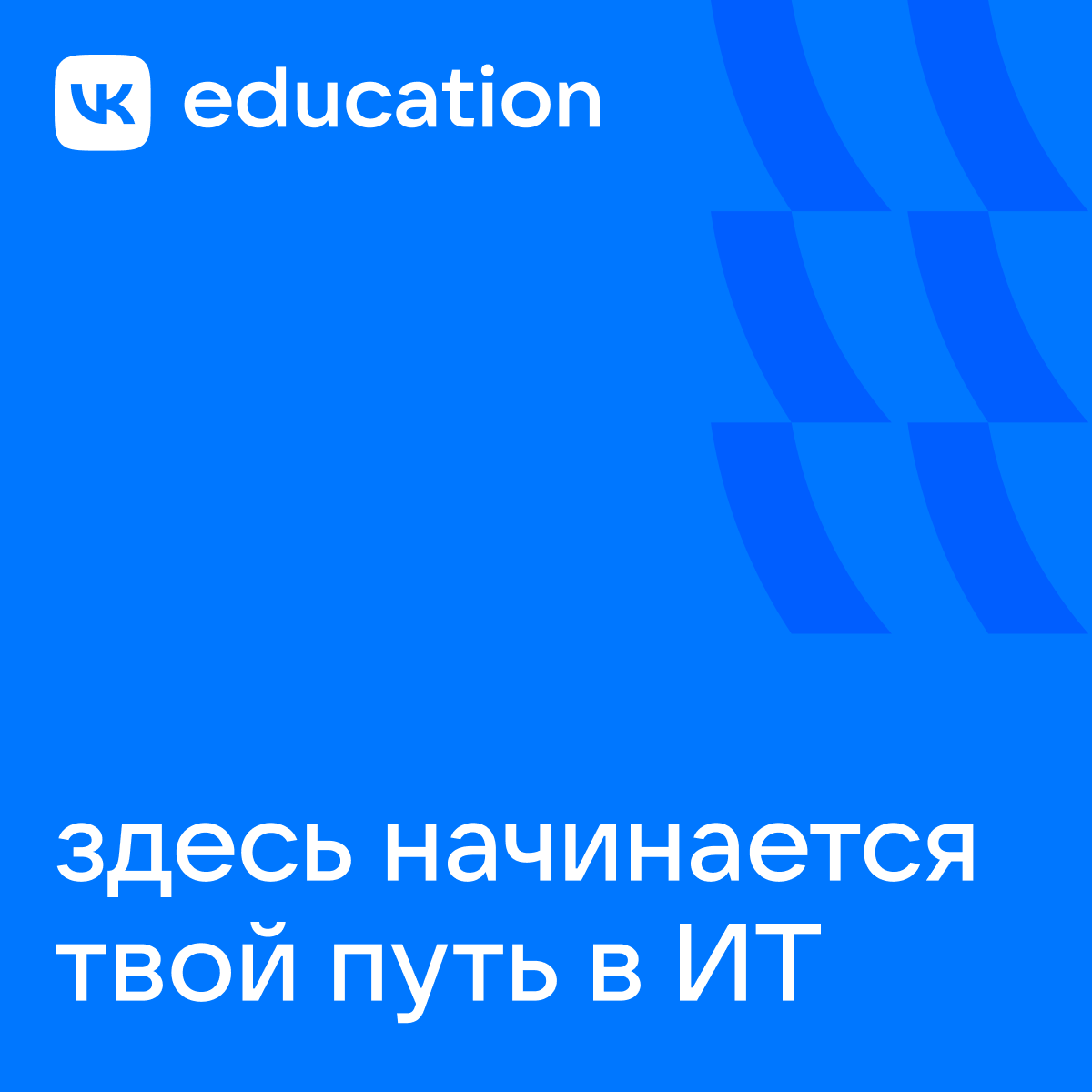 education vk company
